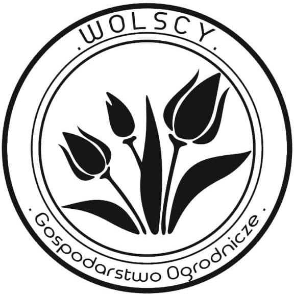 Logo Wolscy Tulipany - partnera Domasz Robotics.